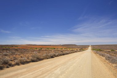 Toprak yol Güney Afrika'da Karoo ile