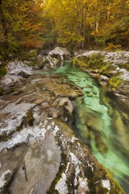 Slovenya Mostnica Gorge sonbahar renkleri