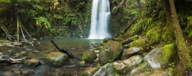 Yağmur ormanları şelaleler, Beauchamp Falls, büyük Otway Np, Victoria