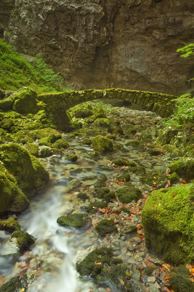 Puente de piedra en Rakov Skocjan en Eslovenia — Foto de Stock