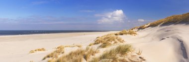 Endless beach on the island of Terschelling in The Netherlands clipart
