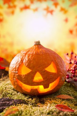 Jack O'Lantern bir sonbahar doğa hala hayatta