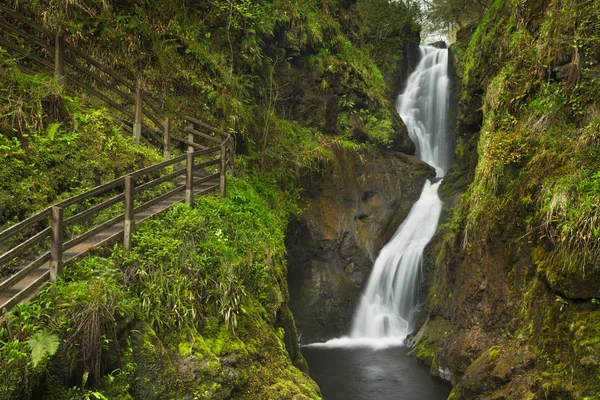 Cachoeira no Glenariff Forest Park na Irlanda do Norte — Fotografia de Stock