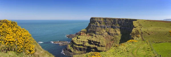 Acantilados a lo largo de la vía costera de la Calzada en Irlanda del Norte —  Fotos de Stock