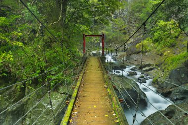 Kawazu şelale iz, Izu Yarımadası, Japonya