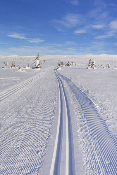 Cross-country trail through a snowy landscape in Trysil, Norway