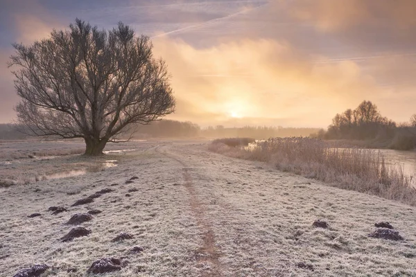 Lever de soleil sur un paysage gelé aux Pays-Bas — Photo