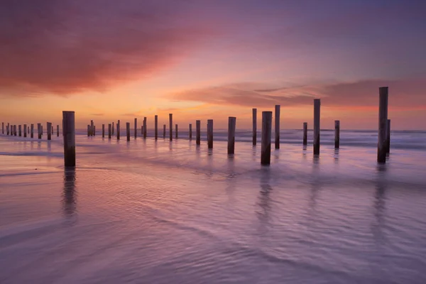 Деревянные столбы на пляже на закате — стоковое фото