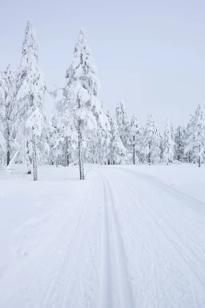 Cross-country trail through a frozen landscape in Norway — Stock Photo, Image