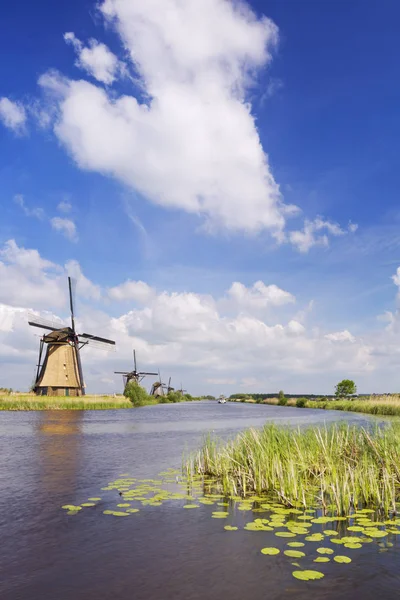 Hagyományos holland szélmalmok, egy napsütéses napon a Kinderdijk — Stock Fotó