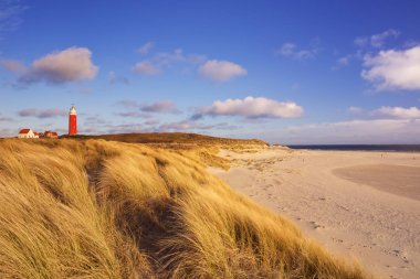 Sabah ışık Hollanda Texel adada deniz feneri