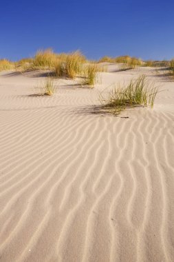 Kum tepeleri dalgalanmalar ile