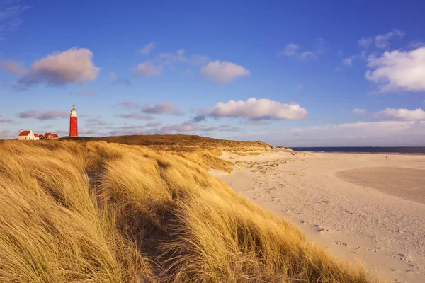 Lighthouse Texel sziget-Hollandiában a reggeli fényben — Stock Fotó