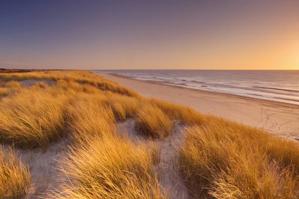 Duny a pláž při západu slunce na ostrově Texel, Nizozemsko — Stock fotografie