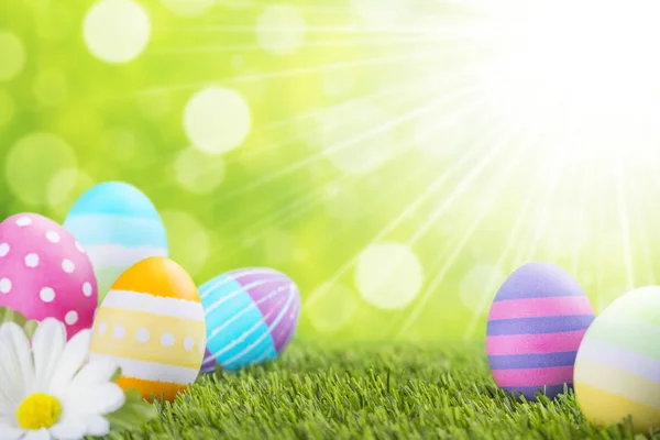 Huevos de Pascua decorados en la hierba con un fondo verde —  Fotos de Stock
