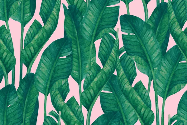 新鲜的绿色香蕉叶在粉红色的背景上 热带绿色无缝图案 手绘夏季插图 时尚时装设计的花卉素描 植物学概念 — 图库照片