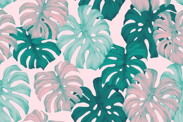 最小热带地区背景 双色调的Monstera在绿松石粉红的流行色彩中留下无缝图案 用于时装设计的手绘丛林中插图 — 图库照片