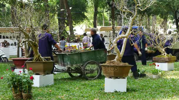 Parque Tao Dan — Vídeos de Stock