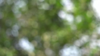 Bokeh arka planda güneş