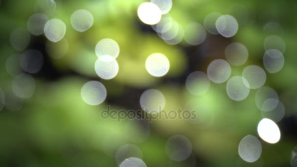 Bokeh en sol — Vídeos de Stock