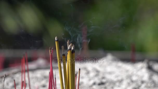 Incense sticks burning — Stock Video