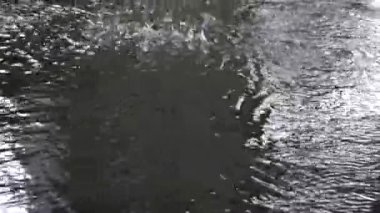 Viet Nam yağmur gün