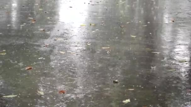 День дождя во Вьетнаме — стоковое видео
