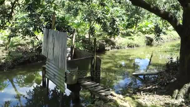 WC in garden — Stock Video