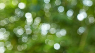 Yeşil yaprakları ve bokeh ışıkları ile ufuk soyut doğa arka plan