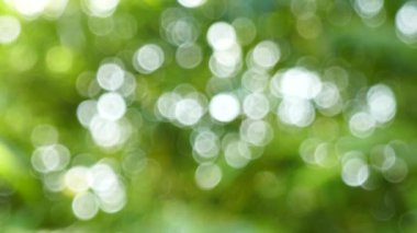 Yeşil yaprakları ve bokeh ışıkları ile ufuk soyut doğa arka plan