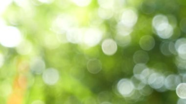 Yeşil yaprakları ve bokeh ışıkları ile ufuk soyut doğa arka plan