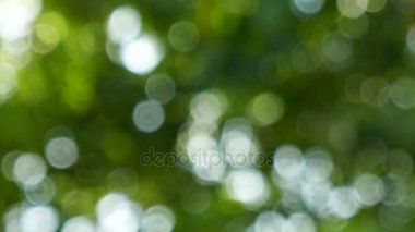 Yeşil yaprakları ve bokeh ışıkları ile ufuk soyut doğa arka plan