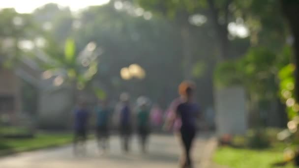 호치민시 베트남 2017 사람들이 공원에서 호치민 베트남 — 비디오