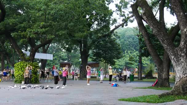 越南胡志明市 2017年 许多越南老年人做他们早上锻炼或步行在晃范 Thu 公园在胡志明市 — 图库视频影像