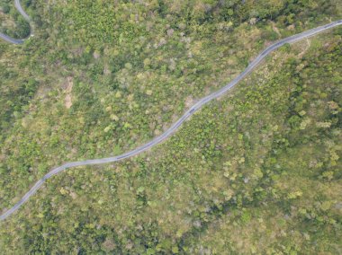 Üstten Görünüm. Bir dron havadan görünümden. Lisanslı yüksek kaliteli ücretsiz stok görüntü yolun ormanın içinde. Yolun ortasında bir orman ile birçok ağaç güzel, yol çok dolambaçlı geçmek ve eğri