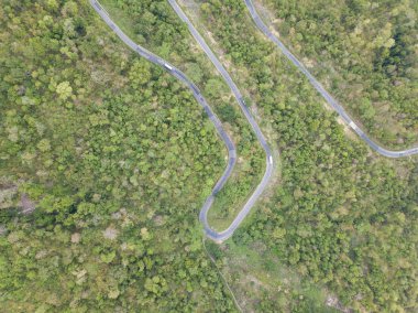 Üstten Görünüm. Bir dron havadan görünümden. Lisanslı yüksek kaliteli ücretsiz stok görüntü yolun ormanın içinde. Yolun ortasında bir orman ile birçok ağaç güzel, yol çok dolambaçlı geçmek ve eğri