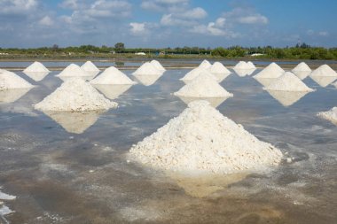 Beyaz tuz alan güneşli bir günde. Lisanslı yüksek kaliteli ücretsiz stok görüntüleri beyaz tuz alan bir plaj köyde. Tuz insanlar için önemli bir besindir