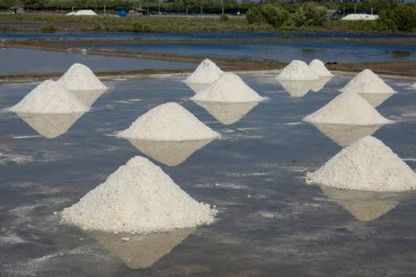 Güneşli bir gün beyaz tuz alanında. Lisanslı yüksek kaliteli ücretsiz stok görüntüleri beyaz tuz alan bir plaj köyde. Tuz insanlar için önemli bir besindir