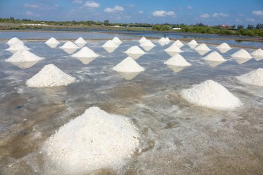 Beyaz tuz alan güneşli bir günde. Lisanslı yüksek kaliteli ücretsiz stok görüntüleri beyaz tuz alan bir plaj köyde. Tuz insanlar için önemli bir besindir