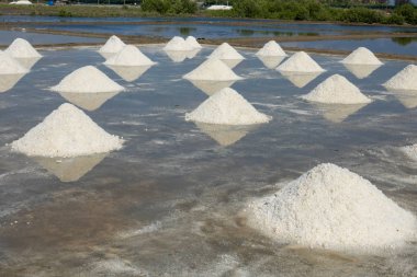 Güneşli bir gün beyaz tuz alanında. Lisanslı yüksek kaliteli ücretsiz stok görüntüleri beyaz tuz alan bir plaj köyde. Tuz insanlar için önemli bir besindir