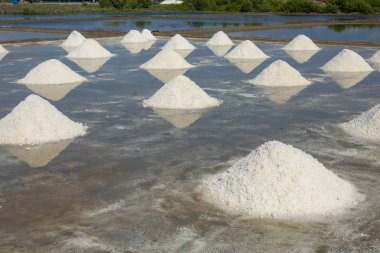 Beyaz tuz alan güneşli bir günde. Lisanslı yüksek kaliteli ücretsiz stok görüntüleri beyaz tuz alan bir plaj köyde. Tuz insanlar için önemli bir besindir