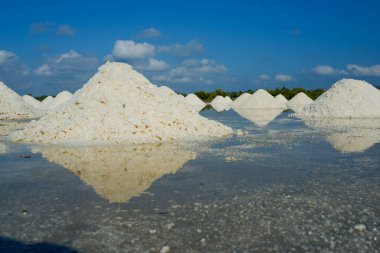 Güneşli bir gün beyaz tuz alanında. Lisanslı yüksek kaliteli ücretsiz stok görüntüleri beyaz tuz alan bir plaj köyde. Tuz insanlar için önemli bir besindir