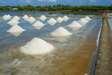 Beyaz tuz alan güneşli bir günde. Lisanslı yüksek kaliteli ücretsiz stok görüntüleri beyaz tuz alan bir plaj köyde. Tuz insanlar için önemli bir besindir