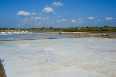Beyaz tuz alan güneşli bir günde. Lisanslı yüksek kaliteli ücretsiz stok görüntüleri beyaz tuz alan bir plaj köyde. Tuz insanlar için önemli bir besindir