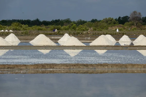 The white salt field on a sunny day. Royalty high-quality free stock footage of white salt field in a beach village. Salt is an important food for people