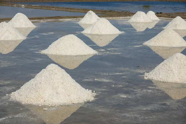 The white salt field on a sunny day. Royalty high-quality free stock footage of white salt field in a beach village. Salt is an important food for people