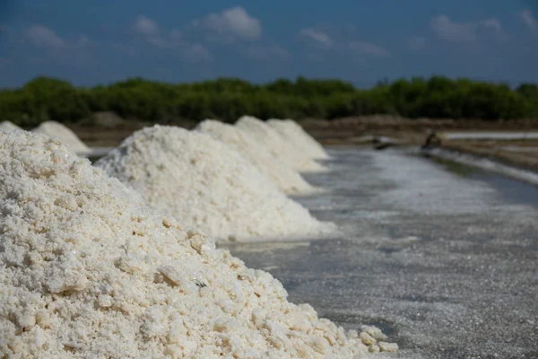 White Salt Field Sunny Day Royalty High Quality Free Stock — Stock Photo, Image