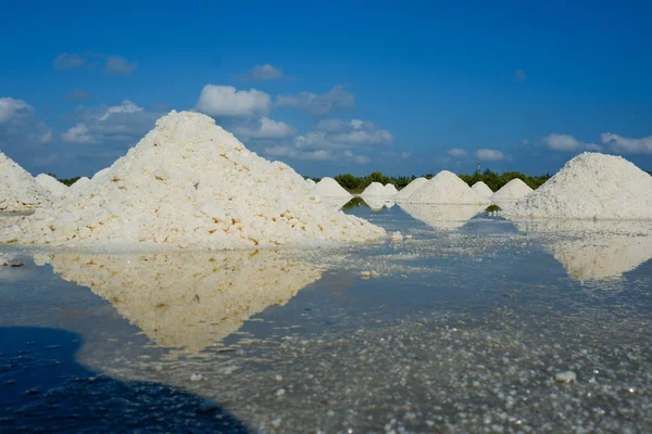 The white salt field on a sunny day. Royalty high-quality free stock footage of white salt field in a beach village. Salt is an important food for people