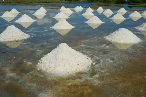 晴れた日の白塩フィールドです ロイヤリティ高品質無料映像素材集ビーチ ビレッジの白い塩フィールドの 塩は人々 のための重要な食糧 — ストック写真