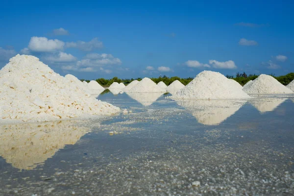 Campo Sal Blanca Día Soleado Realeza Alta Calidad Material Archivo — Foto de Stock